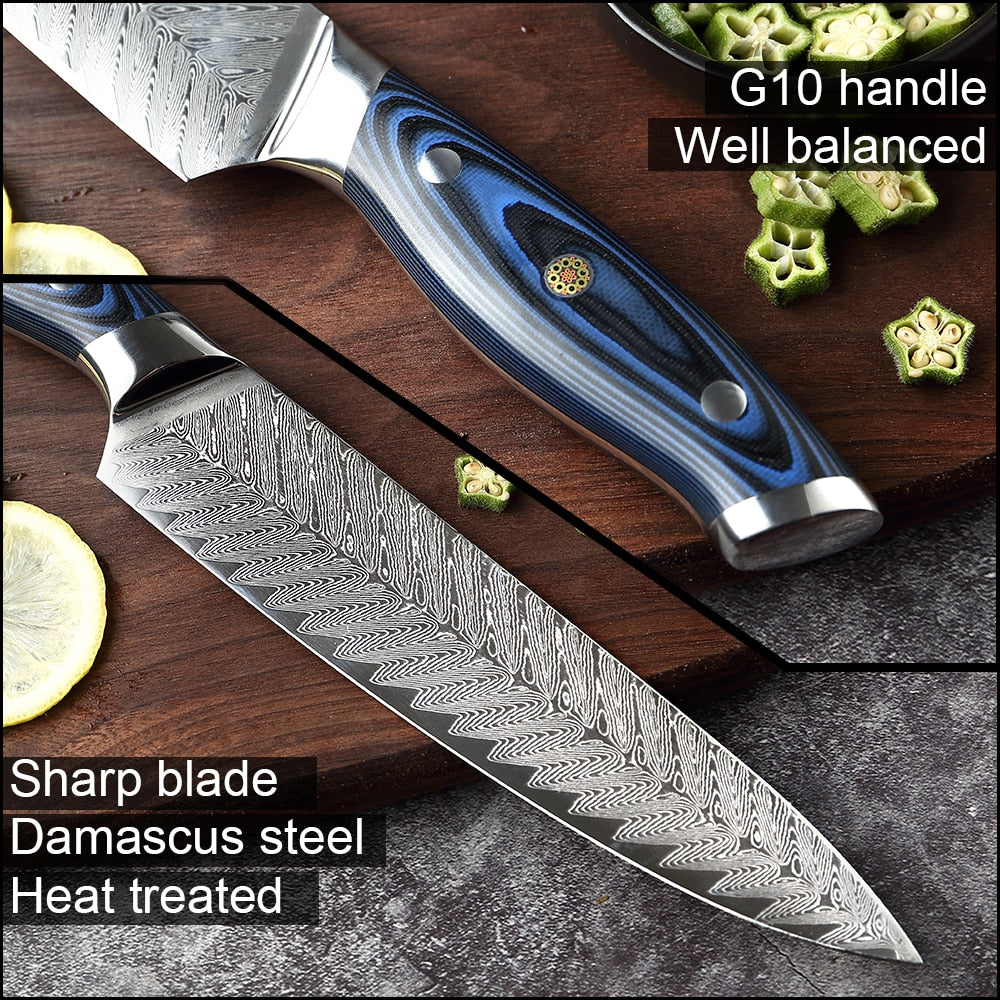 XITUO Damascus Chef Knife Set - Professional Japanese Kitchen Knives