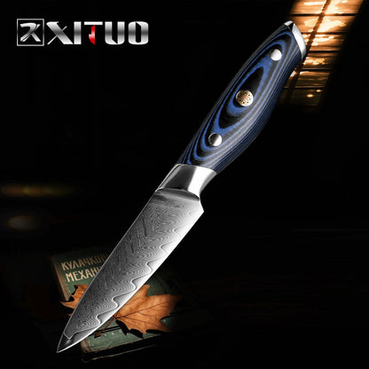 XITUO Damascus Chef Knife Set - Professional Japanese Kitchen Knives