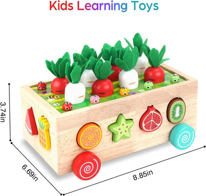 Wooden Carrot Harvest Educational Toy