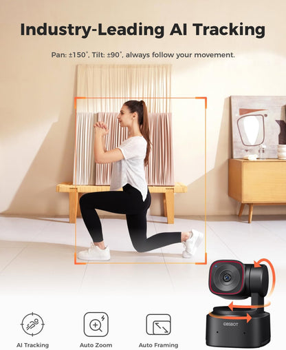 Tiny 2 Lite Webcam 4K, AI Tracking Streaming Camera, PTZ Camera with 1/2"Sensor, Gesture Control,60 FPS, HDR, Noise-Canceling Microphone, Web Camera for PC, Laptop, Meeting, Gaming, Class, Etc.