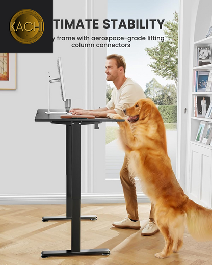 Height Adjustable Electric Standing Desk, 48 X 24 Inches Sit Stand up Desk, Memory Computer Home Office Desk (Black)